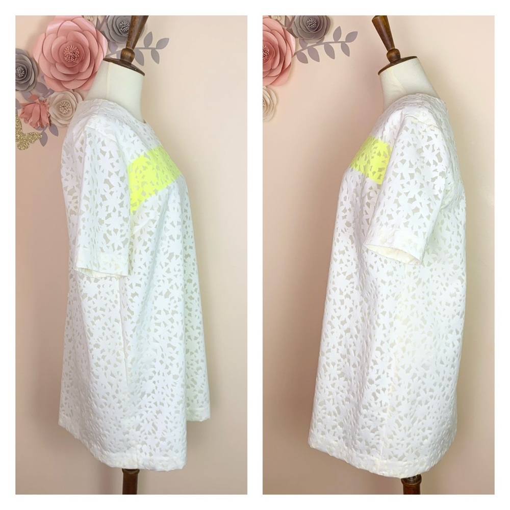 New! ELIZABETH & JAMES Chelle Flocked Shift Dress - Picture 9 of 12